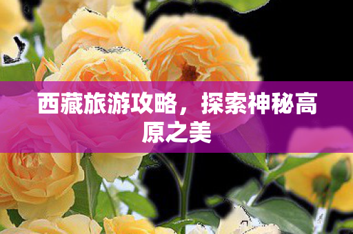 探索神秘高原之美图片