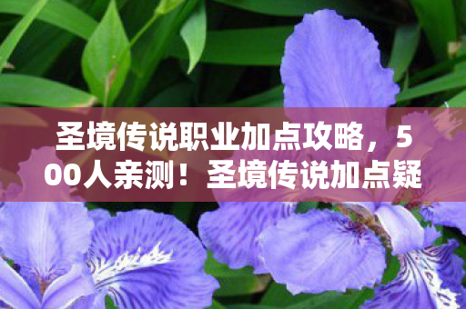 圣境传说职业加点攻略,500人亲测!圣境传说加点疑云,大神也绷不住的网吧血泪史 圣境传说职业加点攻略,500人亲测!圣境传说加点疑云,大神也绷不住的网吧血泪史