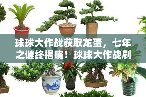 球球大作战获取龙蛋,七年之谜终揭晓!球球大作战刷龙蛋的真相,泪目了老玩家 球球大作战获取龙蛋,七年之谜终揭晓!球球大作战刷龙蛋的真相,泪目了老玩家