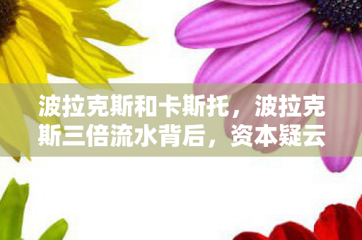 波拉克斯和卡斯托,波拉克斯三倍流水背后,资本疑云密布,玩家心寒谁解? 波拉克斯和卡斯托,波拉克斯三倍流水背后,资本疑云密布,玩家心寒谁解?