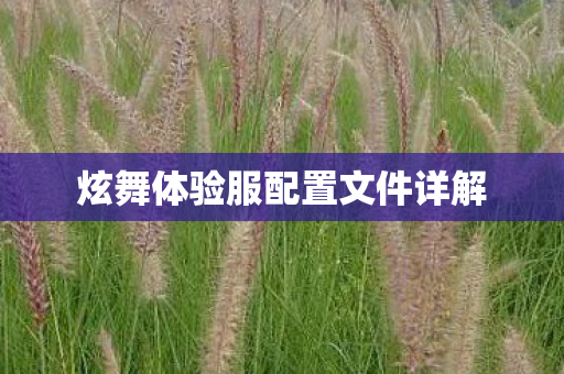 炫舞体验服配置文件详解图片