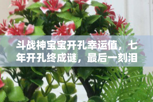 斗战神宝宝开孔幸运值,七年开孔终成谜,最后一刻泪目离斗战神宝宝开孔的时光绝唱 斗战神宝宝开孔幸运值,七年开孔终成谜,最后一刻泪目离斗战神宝宝开孔的时光绝唱