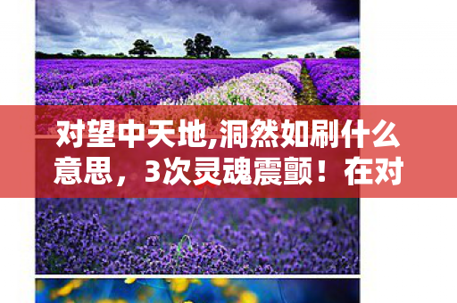 对望中天地,洞然如刷什么意思,3次灵魂震颤!在对望中天地里,我找到了生命的终极答案 对望中天地,洞然如刷什么意思,3次灵魂震颤!在对望中天地里,我找到了生命的终极答案