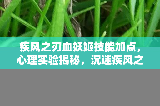 疾风之刃血妖姬技能加点,心理实验揭秘,沉迷疾风之刃血妖姬,细思极恐的自我麻醉 疾风之刃血妖姬技能加点,心理实验揭秘,沉迷疾风之刃血妖姬,细思极恐的自我麻醉
