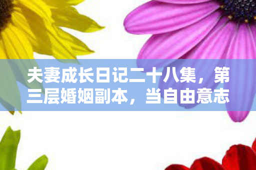 夫妻成长日记二十八集,第三层婚姻副本,当自由意志撞碎命运齿轮时,谁在操控我们的灵魂存档? 夫妻成长日记二十八集,第三层婚姻副本,当自由意志撞碎命运齿轮时,谁在操控我们的灵魂存档?