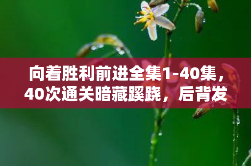 向着胜利前进全集1-40集,40次通关暗藏蹊跷,后背发凉!我竟是游戏最忠实的傀儡? 向着胜利前进全集1-40集,40次通关暗藏蹊跷,后背发凉!我竟是游戏最忠实的傀儡?
