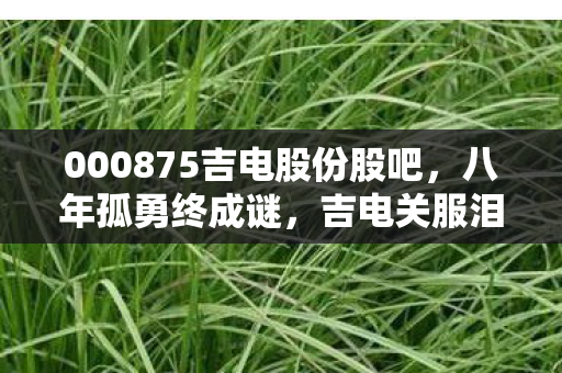 000875吉电股份股吧,八年孤勇终成谜,吉电关服泪目时 000875吉电股份股吧,八年孤勇终成谜,吉电关服泪目时