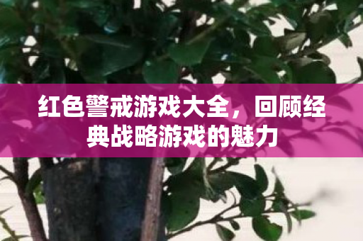 回顾经典战略游戏的魅力图片