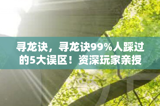 寻龙诀,寻龙诀99%人踩过的5大误区!资深玩家亲授避坑心得 寻龙诀,寻龙诀99%人踩过的5大误区!资深玩家亲授避坑心得