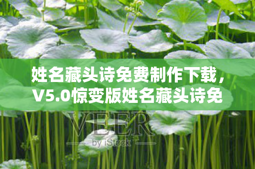 姓名藏头诗免费制作下载,V5.0惊变版姓名藏头诗免费制作,从全民狂欢到AI接盘的蹊跷十年 姓名藏头诗免费制作下载,V5.0惊变版姓名藏头诗免费制作,从全民狂欢到AI接盘的蹊跷十年