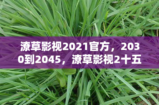 潦草影视2021官方,2030到2045,潦草影视2十五年沉浮,藏着怎样颠覆认知的真相? 潦草影视2021官方,2030到2045,潦草影视2十五年沉浮,藏着怎样颠覆认知的真相?