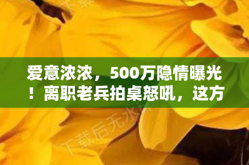 爱意浓浓,500万隐情曝光!离职老兵拍桌怒吼,这方案差点让公司被枪毙! 爱意浓浓,500万隐情曝光!离职老兵拍桌怒吼,这方案差点让公司被枪毙!