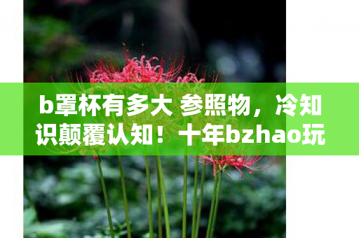 b罩杯有多大 参照物,冷知识颠覆认知!十年bzhao玩家竟被这些设定目瞪口呆 b罩杯有多大 参照物,冷知识颠覆认知!十年bzhao玩家竟被这些设定目瞪口呆