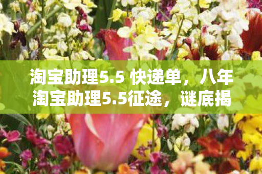 淘宝助理5.5 快递单,八年淘宝助理5.5征途,谜底揭晓时,泪目竟是无声告别 淘宝助理5.5 快递单,八年淘宝助理5.5征途,谜底揭晓时,泪目竟是无声告别