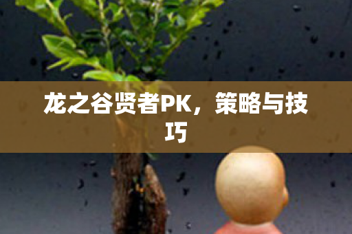 龙之谷贤者PK图片