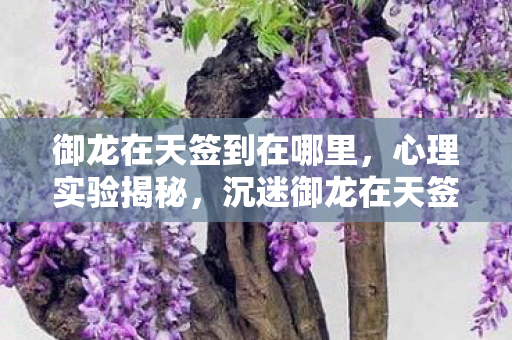 御龙在天签到在哪里,心理实验揭秘,沉迷御龙在天签到三年,细思极恐的自我囚禁 御龙在天签到在哪里,心理实验揭秘,沉迷御龙在天签到三年,细思极恐的自我囚禁