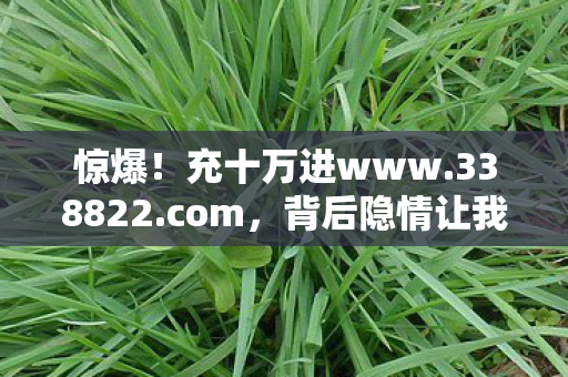 惊爆!充十万进www.338822.com,背后隐情让我吓一大跳! 惊爆!充十万进www.338822.com,背后隐情让我吓一大跳!