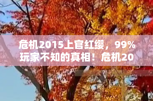 危机2015上官红缨,99%玩家不知的真相!危机2015暗藏的末日密码,刺痛每个幸存者的心 危机2015上官红缨,99%玩家不知的真相!危机2015暗藏的末日密码,刺痛每个幸存者的心