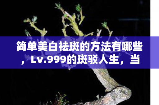 简单美白祛斑的方法有哪些,Lv.999的斑驳人生,当祛斑教程成为存在主义逃生舱 简单美白祛斑的方法有哪些,Lv.999的斑驳人生,当祛斑教程成为存在主义逃生舱
