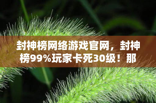 封神榜网络游戏官网,封神榜99%玩家卡死30级!那个凌晨4点哭着删号的兄弟,后来怎样了? 封神榜网络游戏官网,封神榜99%玩家卡死30级!那个凌晨4点哭着删号的兄弟,后来怎样了?