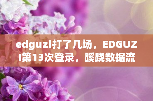 edguzi打了几场,EDGUZI第13次登录,蹊跷数据流里,后背发凉的十年逃亡真相 edguzi打了几场,EDGUZI第13次登录,蹊跷数据流里,后背发凉的十年逃亡真相