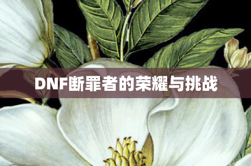 DNF断罪者的荣耀与挑战图片