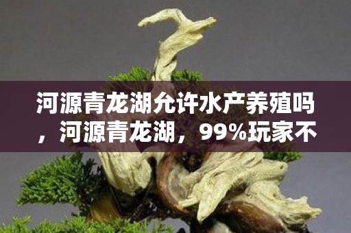河源青龙湖允许水产养殖吗,河源青龙湖,99%玩家不知的秘境,竟藏着让人心碎的真相? 河源青龙湖允许水产养殖吗,河源青龙湖,99%玩家不知的秘境,竟藏着让人心碎的真相?
