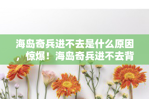 海岛奇兵进不去是什么原因,惊爆!海岛奇兵进不去背后竟藏百万隐情,真相让人吓一跳! 海岛奇兵进不去是什么原因,惊爆!海岛奇兵进不去背后竟藏百万隐情,真相让人吓一跳!