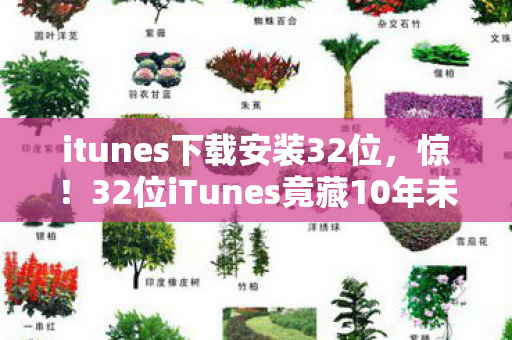 itunes下载安装32位,惊!32位iTunes竟藏10年未解之谜,老玩家泪目真相 itunes下载安装32位,惊!32位iTunes竟藏10年未解之谜,老玩家泪目真相