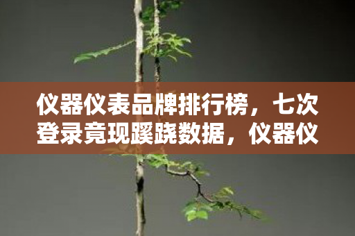 仪器仪表品牌排行榜,七次登录竟现蹊跷数据,仪器仪表背后真相令人后背发凉 仪器仪表品牌排行榜,七次登录竟现蹊跷数据,仪器仪表背后真相令人后背发凉