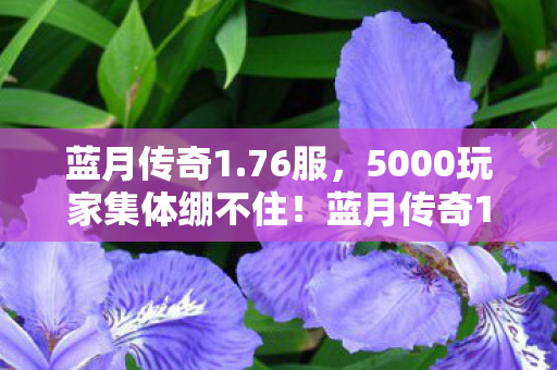蓝月传奇1.76服,5000玩家集体绷不住!蓝月传奇1.76爆出惊天疑点,这装备是AI在玩我们? 蓝月传奇1.76服,5000玩家集体绷不住!蓝月传奇1.76爆出惊天疑点,这装备是AI在玩我们?