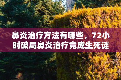 鼻炎治疗方法有哪些,72小时破局鼻炎治疗竟成生死谜题?百万患者泪目,我们等不起下一个春天 鼻炎治疗方法有哪些,72小时破局鼻炎治疗竟成生死谜题?百万患者泪目,我们等不起下一个春天