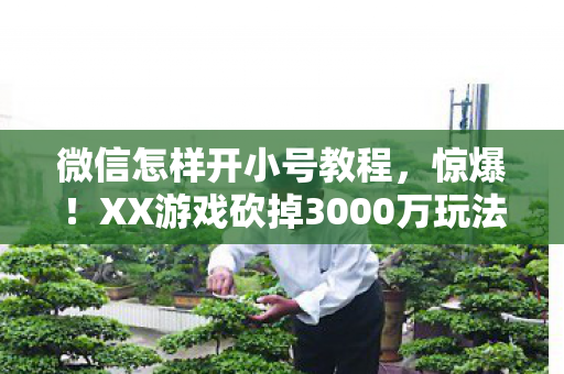 微信怎样开小号教程,惊爆!XX游戏砍掉3000万玩法竟因这隐情,吓一跳! 微信怎样开小号教程,惊爆!XX游戏砍掉3000万玩法竟因这隐情,吓一跳!