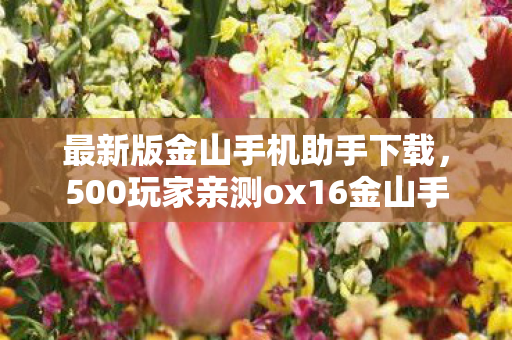 最新版金山手机助手下载,500玩家亲测ox16金山手机助手,这波操作把老玩家都整绷不住了? 最新版金山手机助手下载,500玩家亲测ox16金山手机助手,这波操作把老玩家都整绷不住了?