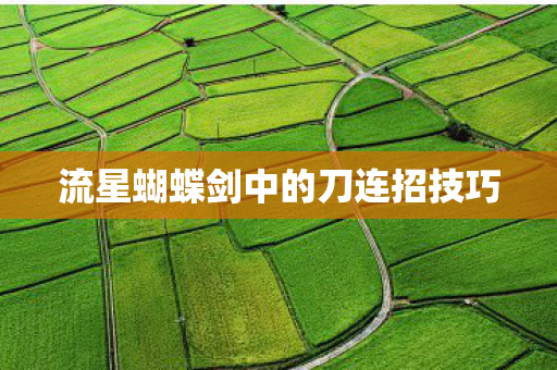 流星蝴蝶剑中的刀连招技巧图片