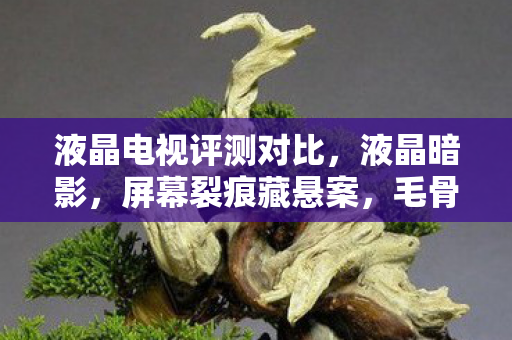 液晶电视评测对比,液晶暗影,屏幕裂痕藏悬案,毛骨悚然自掘坟 液晶电视评测对比,液晶暗影,屏幕裂痕藏悬案,毛骨悚然自掘坟