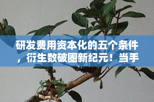 研发费用资本化的五个条件,衍生数破圈新纪元!当手办研发费资本化撞上冰箱空荡的意想不到 研发费用资本化的五个条件,衍生数破圈新纪元!当手办研发费资本化撞上冰箱空荡的意想不到