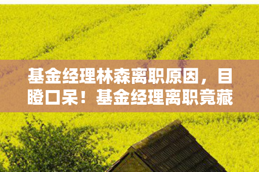 基金经理林森离职原因,目瞪口呆!基金经理离职竟藏着颠覆认知的冷知识密码 基金经理林森离职原因,目瞪口呆!基金经理离职竟藏着颠覆认知的冷知识密码