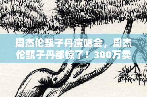 周杰伦甄子丹演唱会,周杰伦甄子丹都惊了!300万卖房钱充游戏,离婚协议背后藏惊天隐情! 周杰伦甄子丹演唱会,周杰伦甄子丹都惊了!300万卖房钱充游戏,离婚协议背后藏惊天隐情!