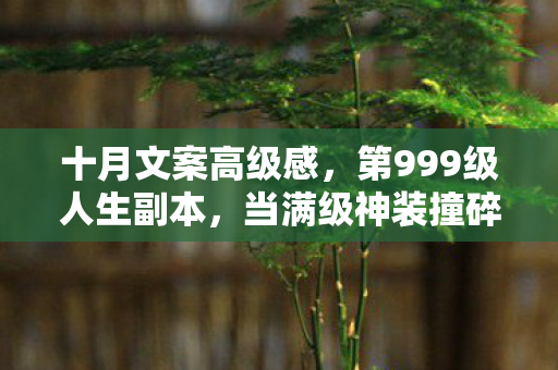 十月文案高级感,第999级人生副本,当满级神装撞碎在女儿的奶粉罐前 十月文案高级感,第999级人生副本,当满级神装撞碎在女儿的奶粉罐前