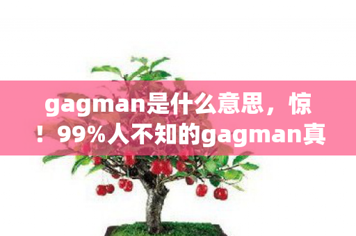 gagman是什么意思,惊!99%人不知的gagman真相,竟藏着3大爆笑密码? gagman是什么意思,惊!99%人不知的gagman真相,竟藏着3大爆笑密码?