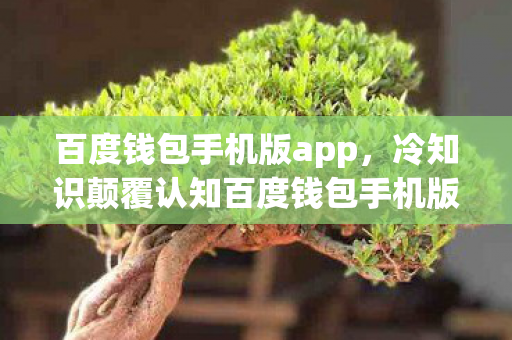 百度钱包手机版app,冷知识颠覆认知百度钱包手机版竟藏着让十年老玩家目瞪口呆的隐藏罪证! 百度钱包手机版app,冷知识颠覆认知百度钱包手机版竟藏着让十年老玩家目瞪口呆的隐藏罪证!
