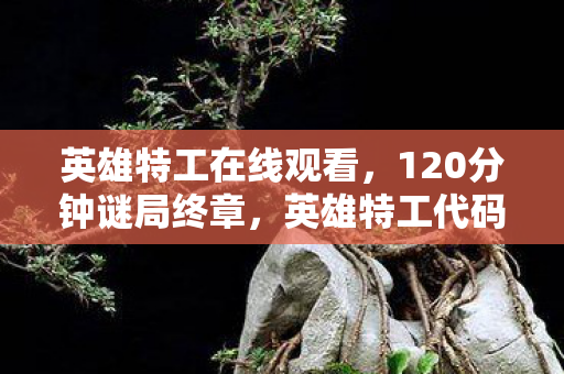 英雄特工在线观看,120分钟谜局终章,英雄特工代码坟场里,最后0.3秒的泪目回响 英雄特工在线观看,120分钟谜局终章,英雄特工代码坟场里,最后0.3秒的泪目回响