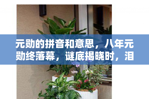 元勋的拼音和意思,八年元勋终落幕,谜底揭晓时,泪目竟成奢侈 元勋的拼音和意思,八年元勋终落幕,谜底揭晓时,泪目竟成奢侈