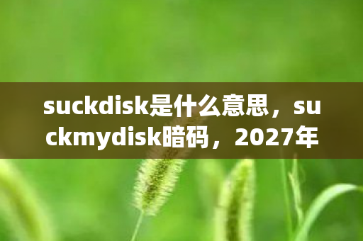 suckdisk是什么意思,suckmydisk暗码,2027年游戏存档里的血色悬案与毛骨悚然真相 suckdisk是什么意思,suckmydisk暗码,2027年游戏存档里的血色悬案与毛骨悚然真相