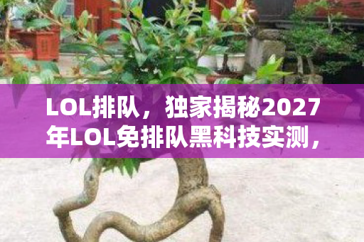 LOL排队,独家揭秘2027年LOL免排队黑科技实测,3秒进服爽感拉满,这波操作我直接封神! LOL排队,独家揭秘2027年LOL免排队黑科技实测,3秒进服爽感拉满,这波操作我直接封神!