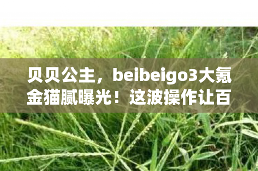 贝贝公主,beibeigo3大氪金猫腻曝光!这波操作让百万玩家集体上头又破防 贝贝公主,beibeigo3大氪金猫腻曝光!这波操作让百万玩家集体上头又破防