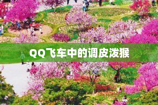 QQ飞车中的调皮泼猴图片