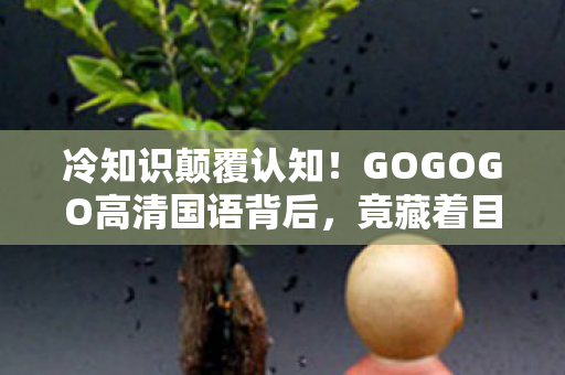 冷知识颠覆认知!GOGOGO高清国语背后,竟藏着目瞪口呆的炸弹级设计 冷知识颠覆认知!GOGOGO高清国语背后,竟藏着目瞪口呆的炸弹级设计