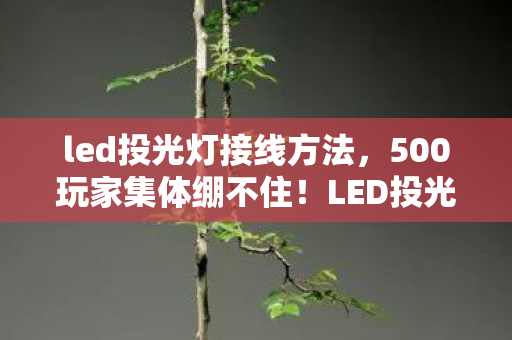 led投光灯接线方法,500玩家集体绷不住!LED投光参数疑云,这数据是来搞笑的? led投光灯接线方法,500玩家集体绷不住!LED投光参数疑云,这数据是来搞笑的?